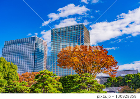 (東京)秋の日比谷公園から丸の内のビルを眺める (東京)秋の日比谷公園から丸の内のビルを眺める 130928859