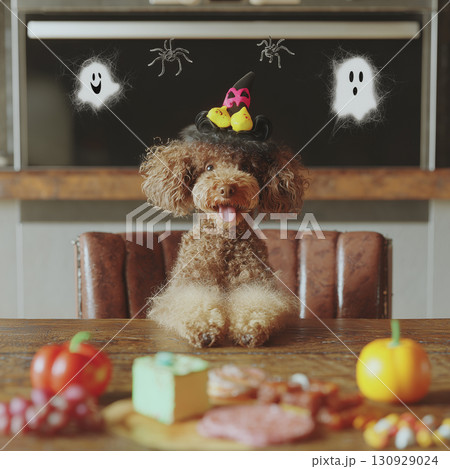 Adorable Poodle in a Costume at a Spooky Party 130929024