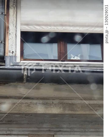 funny cat peaking mean from an old attic window. Mobile photography, real candid phone snapshot 130929031