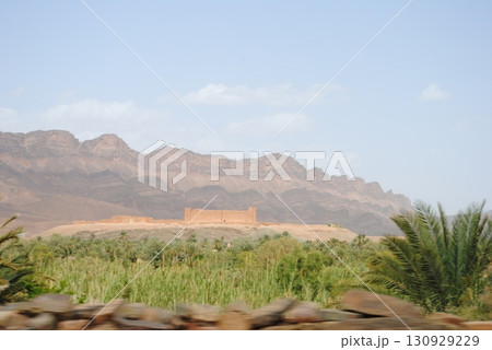 Dating plantation in Morocco 130929229