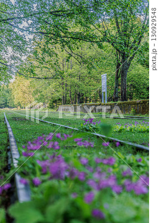 廃線に残る静かなホームと新緑 130929548