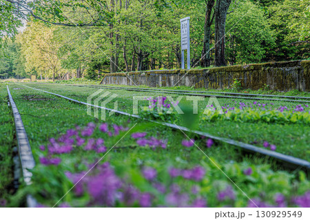 花咲く鉄路と幌加駅跡の風景 130929549