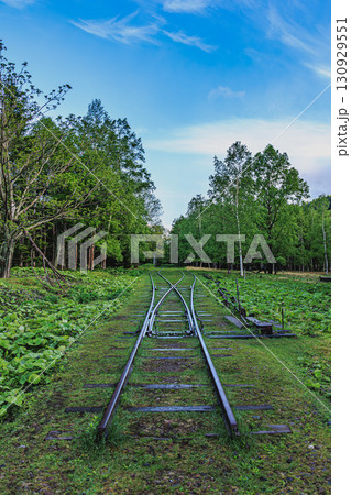 緑に包まれた旧幌加駅跡の夏景色 130929551