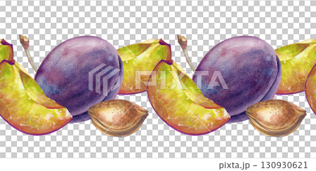 Watercolor seamless fruit border. A hand-drawn illustration of whole plums and pieces, pits and branches isolated on a white background. A botanical seamless frame with juicy seasonal fruits. For 130930621