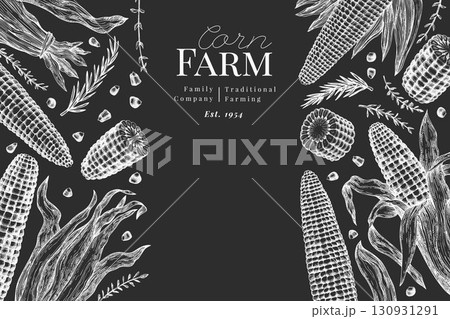 Hand Drawn Vector Sweet Corn Illustration. Not AI Generated. Autumn Seasonal Chalk Board Background. Fall Season Farm Banner. Vintage Harvest Design Template. 130931291
