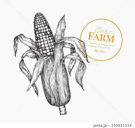 Hand Drawn Vector Sweet Corn Illustration. Not AI Generated. Autumn Seasonal Image. Fall Season Farm Old Fashioned Picture. Vintage Harvest Design Hand Drawn Vector Sweet Corn Illustration. Not AI Generated. Autumn Seasonal Image. Fall Season Farm Old Fashioned Picture. Vintage Harvest Design 130931314
