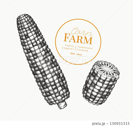 Hand Drawn Vector Sweet Corn Illustration. Not AI Generated. Autumn Seasonal Image. Fall Season Farm Old Fashioned Picture. Vintage Harvest Design 130931315