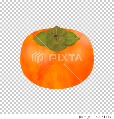 柿のイラスト 水彩風 柿のイラスト 水彩風 130931415