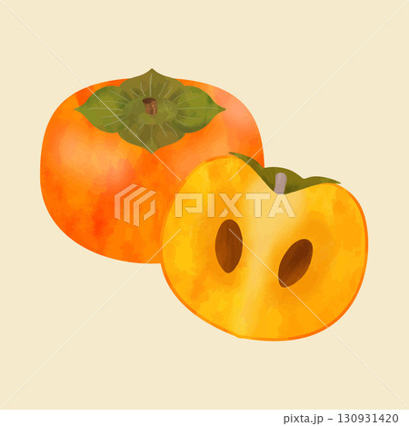 柿の断面イラスト(水彩風ベクター) 柿の断面イラスト(水彩風ベクター) 130931420