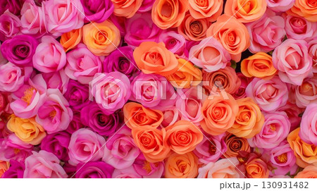 Colorful close-up of pink and orange roses in full bloom creating a lush and vibrant floral display Colorful close-up of pink and orange roses in full bloom creating a lush and vibrant floral display 130931482