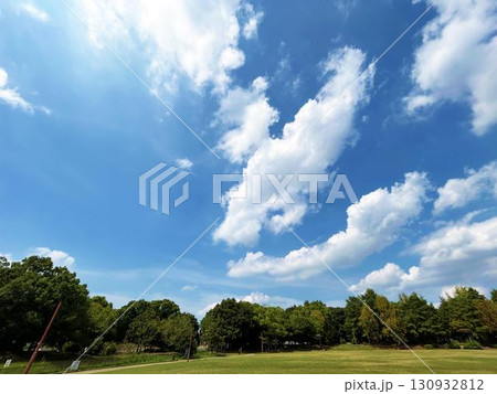 白い雲が広がる空模様と公園の木々 130932812