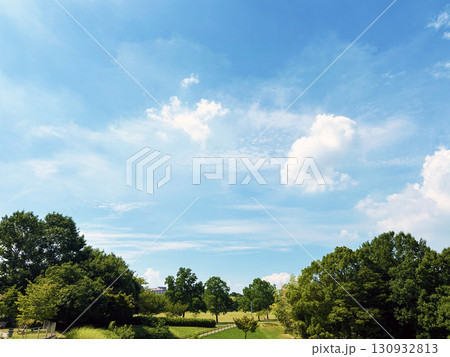 公園の木々と爽やかな青空 130932813