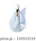 Watercolor of swan bird. Hand-painted white bird isolated on a white background. Good for postcards, invitations, greeting cards 130933539