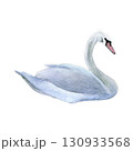 Watercolor of swan bird. Hand-painted white bird isolated on a white background. Good for postcards, invitations, greeting cards 130933568