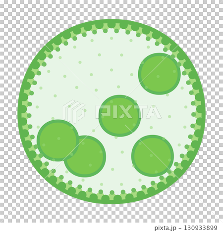 Cute Volvox illustration material Cute Volvox illustration material 130933899