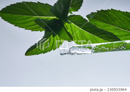 A pipette with serum in mint leaves. A pipette with serum in mint leaves. 130933964