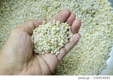 Hand Holding Barley Grains Hand Holding Barley Grains 130934085