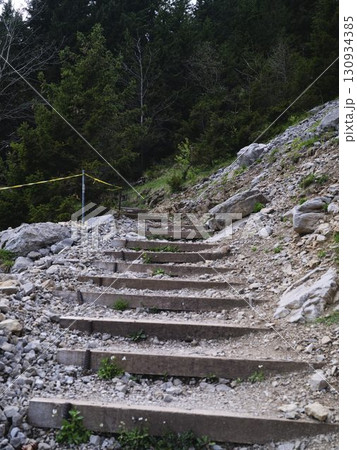 Steep wooden steps leading up a rugged mountain trail surrounded by trees and rocks in early spring 130934385