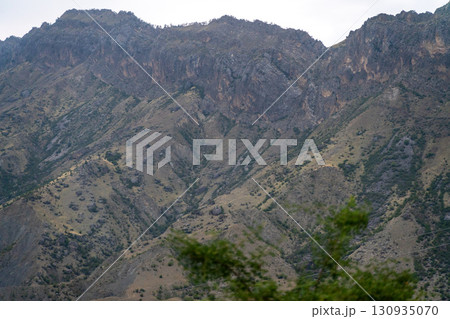 The mountains are covered in brown rocks and trees The mountains are covered in brown rocks and trees 130935070