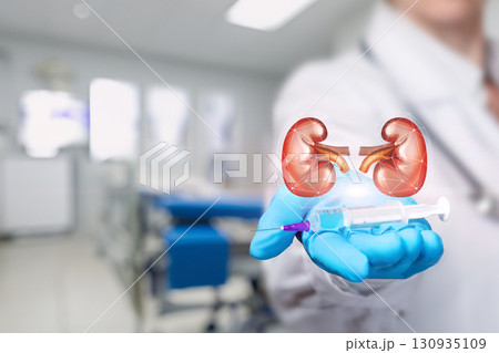 Medical professional displays kidney and syringe during examination. 130935109