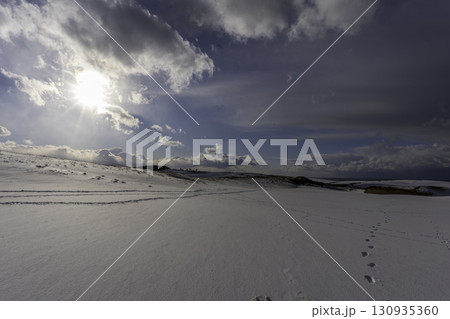 雪に覆われた大地 130935360
