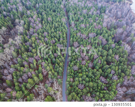 Aerial view of road in beautiful autumn forest at sunset. Beautiful landscape with empty rural road, trees with red and orange leaves. 130935501