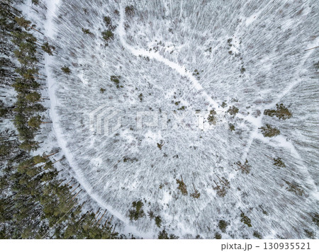 Aerial view of a winter pine forest. Top view of snow-covered pine trees. Beautiful winter forest landscape. 130935521