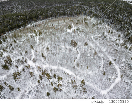 Aerial view of a winter pine forest. Top view of snow-covered pine trees. Beautiful winter forest landscape. Aerial view of a winter pine forest. Top view of snow-covered pine trees. Beautiful winter forest landscape. 130935530