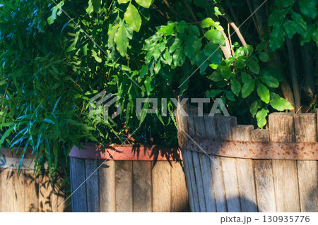 Growing plants in wooden containers promotes sustainability and green living in urban spaces Growing plants in wooden containers promotes sustainability and green living in urban spaces 130935776