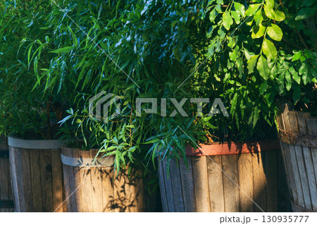 Plants in wooden planters promote sustainability and environmental protection in urban spaces 130935777