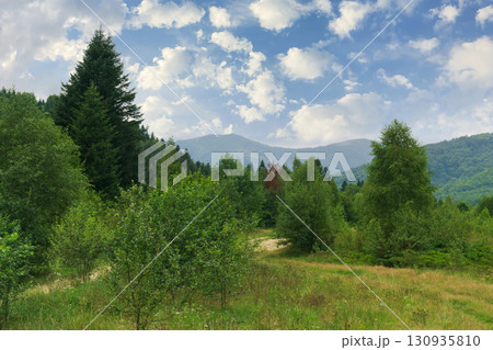 Explore the beautiful mountain path surrounded by lush forests and vibrant greenery 130935810