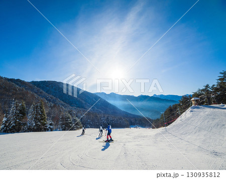 朝日に照らされたゲレンデを滑走するスキーヤーたち (長野県、山ノ内町、夜間瀬) 130935812