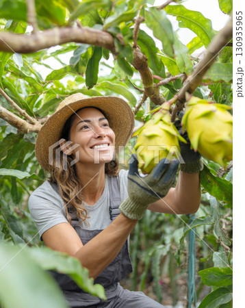 A smiling, hardworking farmer in straw hat and gloves, tending to a dragon fruit tree. The image captures her joyful connection to nature and the satisfaction of bountiful, fresh harvest on sunny day. 130935965