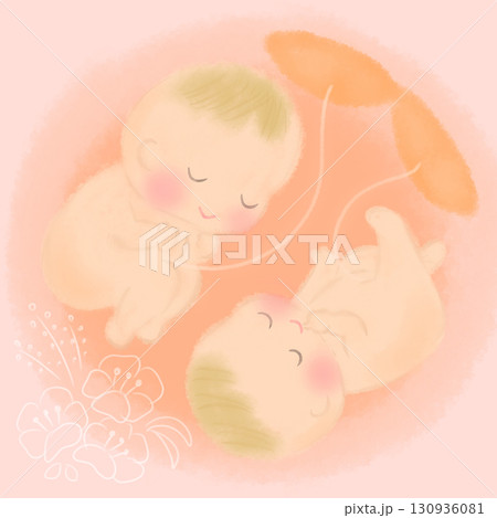 胎内で微笑む かわいい双子の胎児のイラスト 130936081