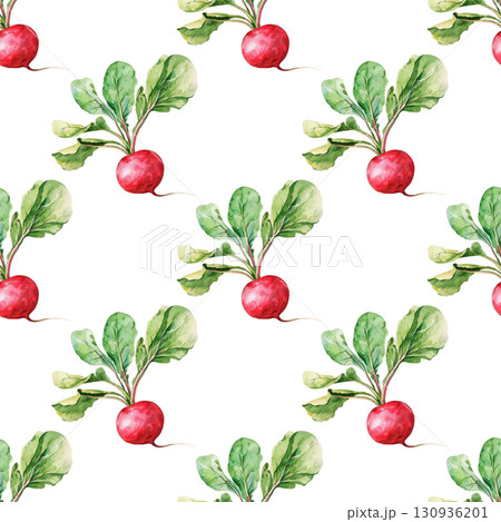 Watercolor repeating pattern of radishes with vibrant red skins and fresh details. Versatile design for organic labels and culinary content 130936201