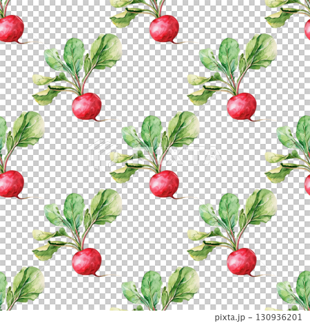 Watercolor repeating pattern of radishes with vibrant red skins and fresh details. Versatile design for organic labels and culinary content 130936201