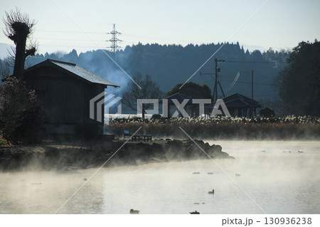 熊本県嘉島町　浮島池 130936238
