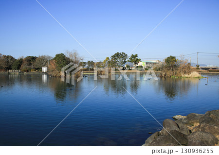 熊本県嘉島町 浮島池 熊本県嘉島町 浮島池 130936255