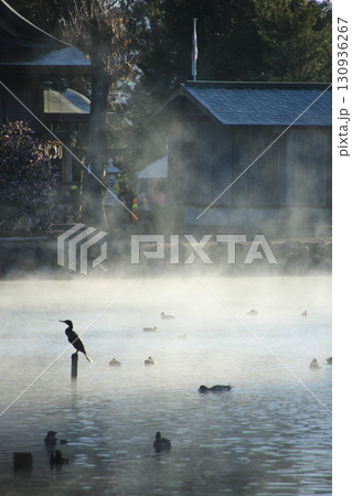 熊本県嘉島町　浮島池 130936267