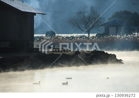 熊本県嘉島町 浮島池 熊本県嘉島町 浮島池 130936272