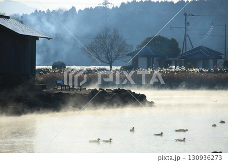 熊本県嘉島町 浮島池 熊本県嘉島町 浮島池 130936273