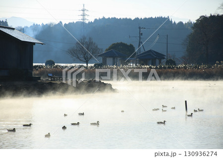 熊本県嘉島町　浮島池 130936274