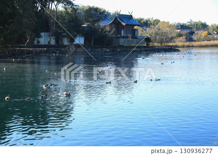 熊本県嘉島町　浮島池 130936277