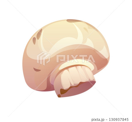 Cartoon raw ripe champignon mushroom vegetable with smooth round beige cap, gills and short thick stem. Vector isolated edible white fungus plant with glossy texture, cooking fresh, raw ingredient Cartoon raw ripe champignon mushroom vegetable with smooth round beige cap, gills and short thick stem. Vector isolated edible white fungus plant with glossy texture, cooking fresh, raw ingredient 130937845