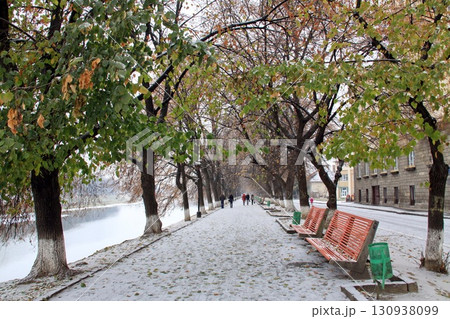 Alley with benches in the park in winter 130938099