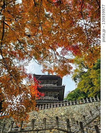 清水寺、三重塔と紅葉 130939977