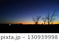 夕暮れの空に輝く一番星とシルエットの木々 130939998