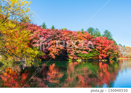 軽井沢・雲場池（秋） 130940530