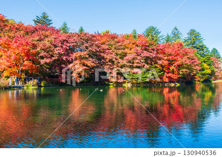 軽井沢・雲場池（秋） 130940536