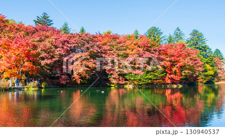 軽井沢・雲場池（秋） 130940537